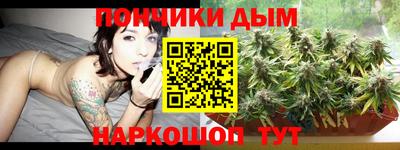 молекула духа Бийск