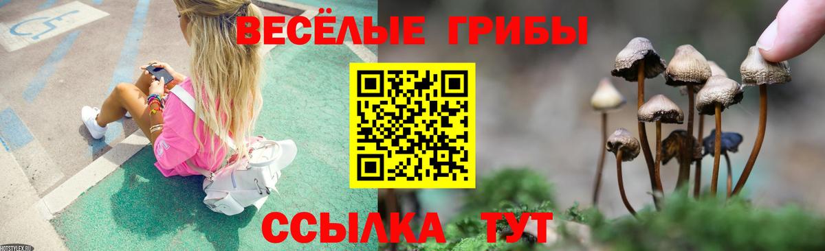 Галлюциногенные грибы ЛСД  Вход с VPN  купить закладку  Кашира 